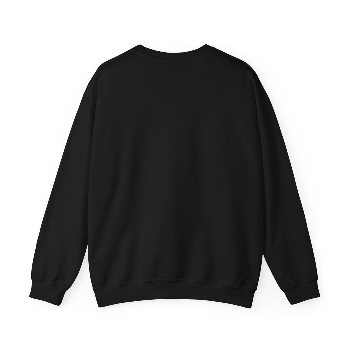 Brag Vintage Originals Retro Dolphin Bay Sweatshirt