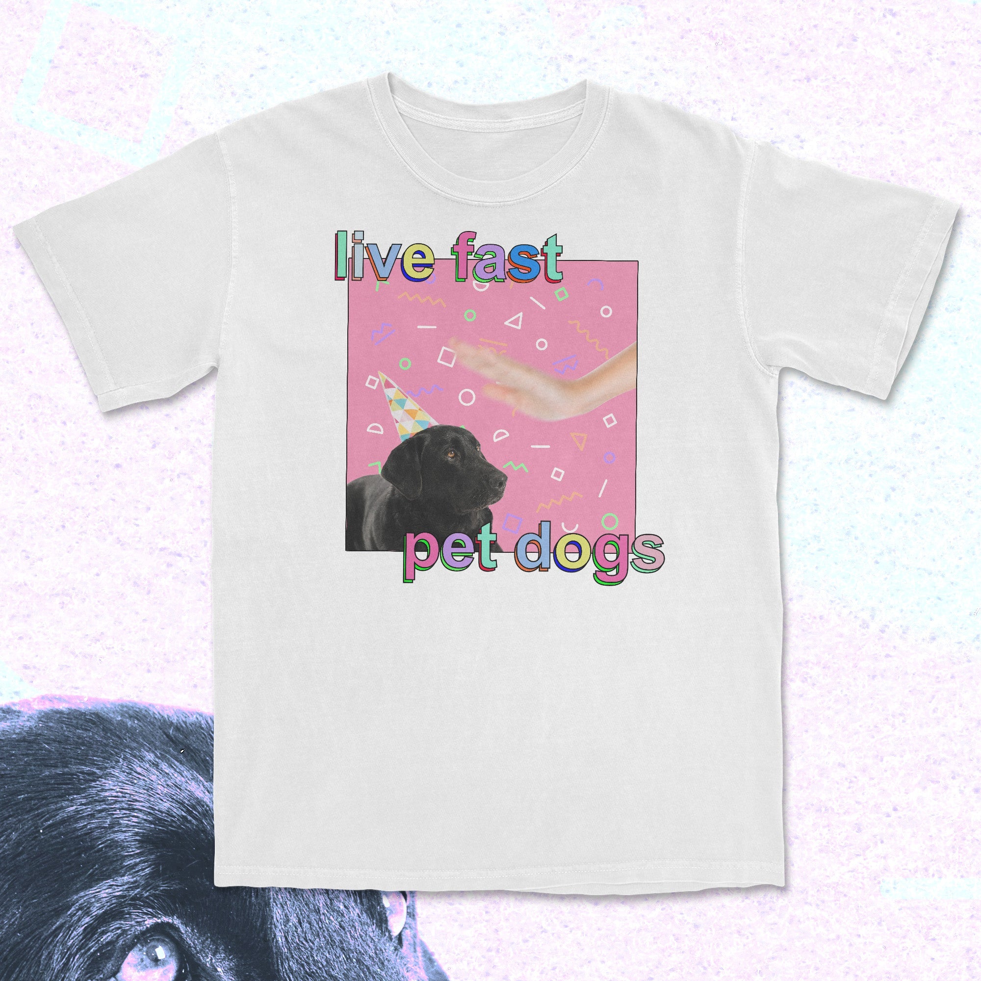 live fast pet dogs - t-shirt White