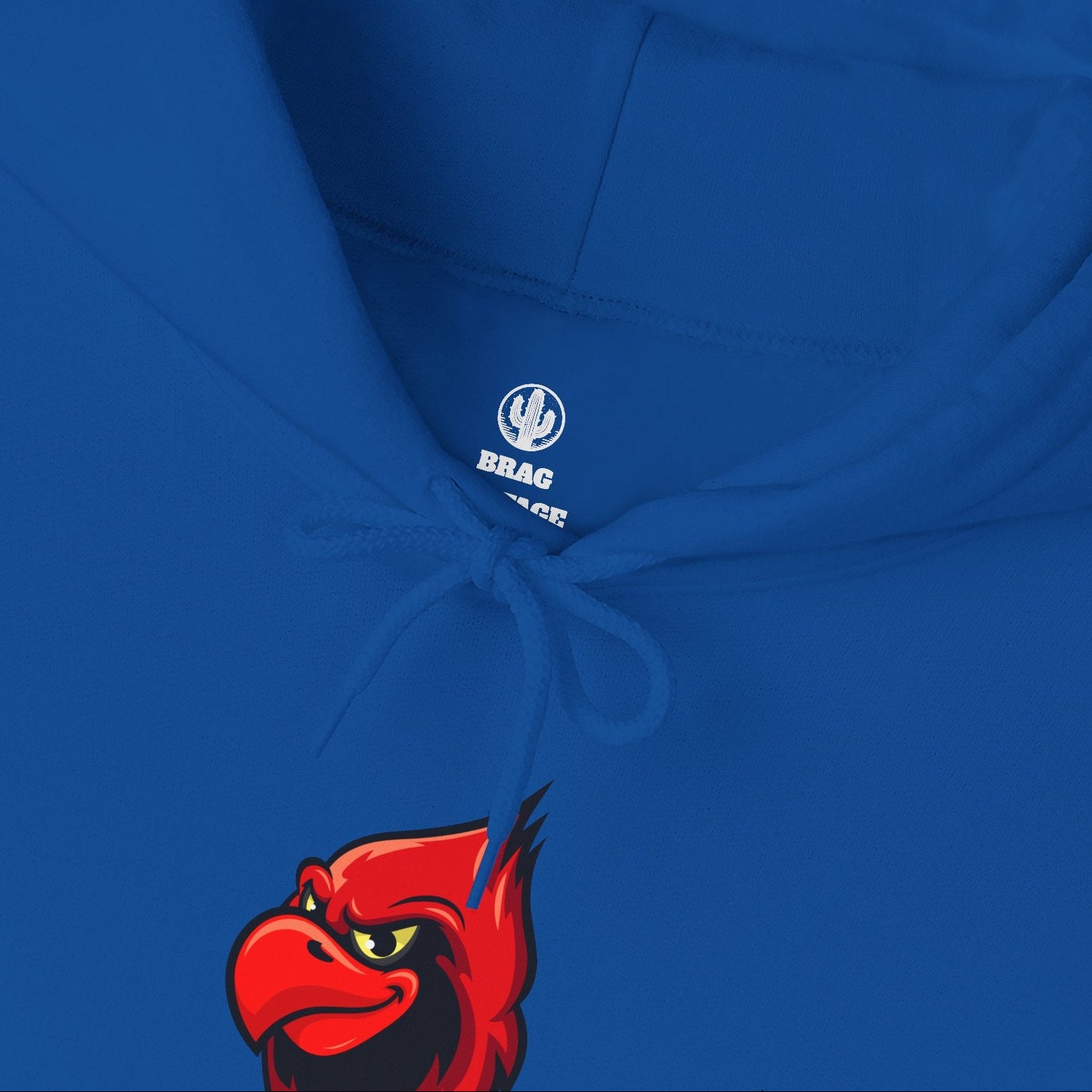 Brag Vintage Robins Sports Hoodie Blue