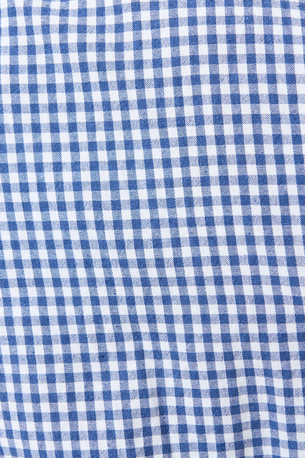 Unity Gingham Ric Rac Trim V-Neck Midi Dress - Blue