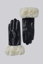 Vanian Glove