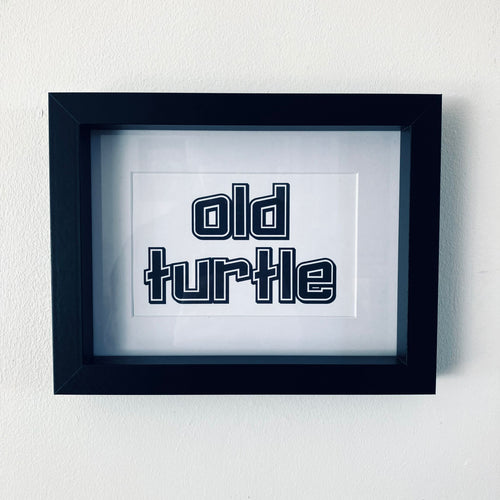 Old Turtle Framed Print