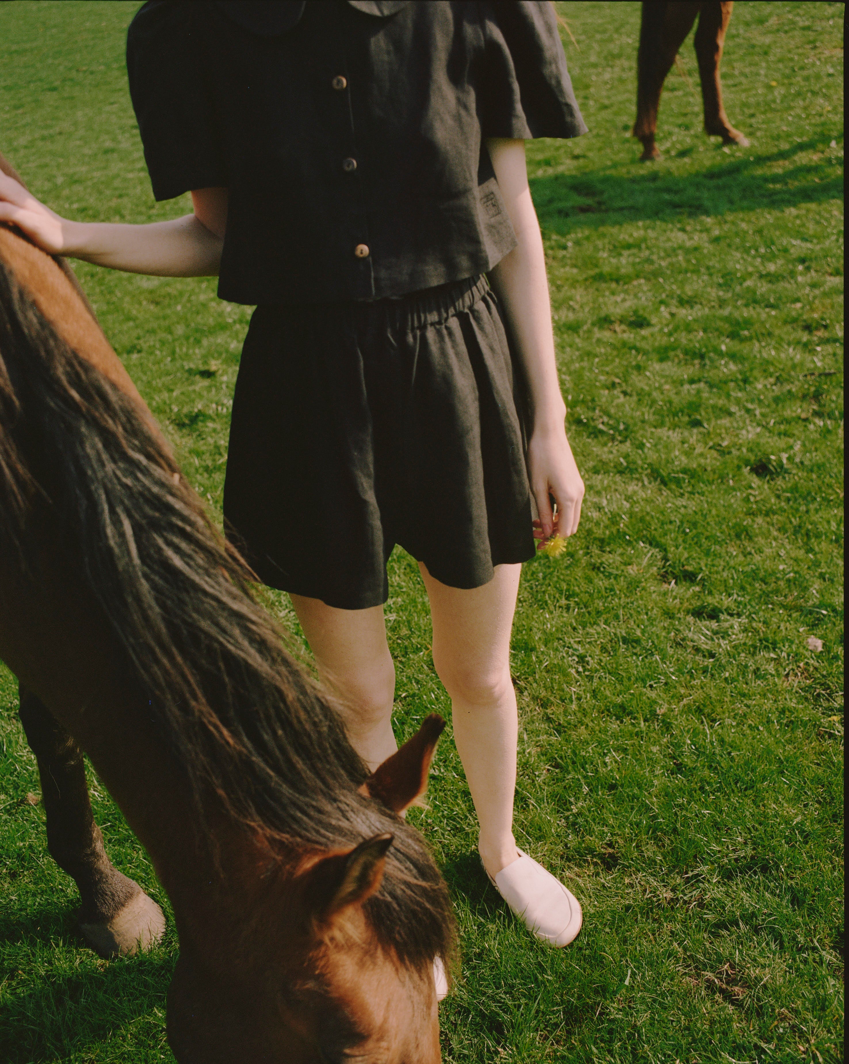 Olivia Linen Shorts  - Black - Delivery from June 2026